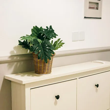 Caesar Lovely & Cozy 1 Bedroom Home, With Pools & Spas *