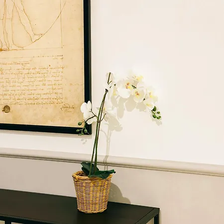 Caesar Lovely & Cozy 1 Bedroom Home, With Pools & Spas